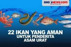 22 Ikan yang Aman Dikonsumsi...