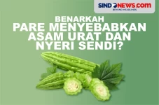 Benarkah Sayur Pare...