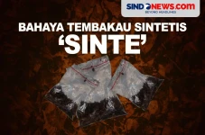 4 Bahaya Tembakau Sintetis,...