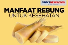 Banyak Dikonsumsi, Berikut...