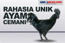 Rahasia Unik Bulu, Tulang...