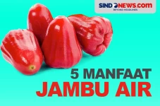 Manfaat Jambu Air, Mampu...