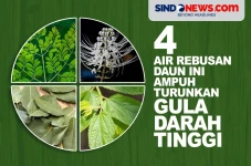 4 Air Rebusan Daun Ini...