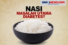Mengapa Nasi Dituding...