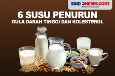 6 Susu Penurun Gula...
