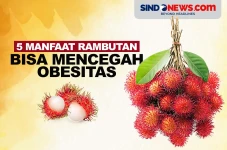 5 Manfaat Buah Rambutan,...