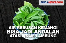 Air Rebusan Kemangi...