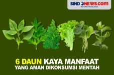 6 Daun Kaya Akan Manfaat...