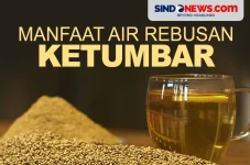 Manfaat Air Rebusan...