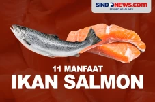11 Manfaat Ikan Salmon,...