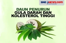 Ampuh, 7 Daun Ini Bisa...