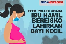 Efek Polusi Udara, Ibu...