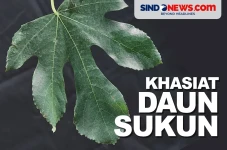 Penyakit Berbahaya yang...