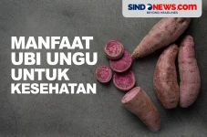 Manfaat Ubi Ungu Bagi...
