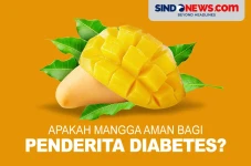 Apakah Buah Mangga Aman...