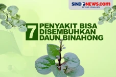 7 Penyakit Bisa Disembuhkan...