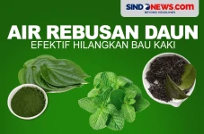 3 Air Rebusan Daun yang...