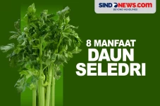 8 Manfaat Daun Seledri,...