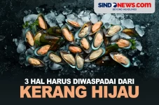 3 Hal yang Harus Diwaspadai...