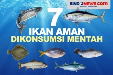 7 Ikan Aman Dikonsumsi...