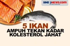 5 Ikan yang Ampuh Tekan...