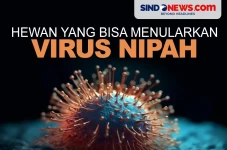 Waspada, Berikut Hewan...