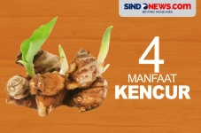 4 Manfaat Kencur yang...