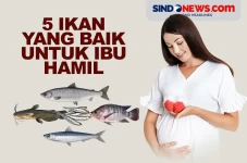 5 Ikan yang Baik untuk...