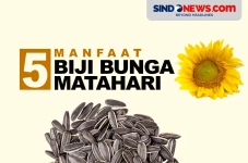 5 Manfaat Biji Bunga...