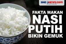 Apakah Makan Nasi Putih...