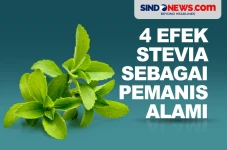 4 Efek Stevia sebagai...