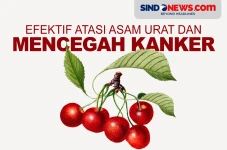 Buah yang Bisa Mengatasi...