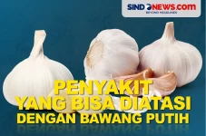 Lima Penyakit yang Bisa...