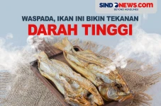 Ikan yang Bikin Tekanan...