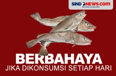 Bahaya, Berikut Jenis...