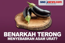 Apakah Terong Bisa Menyebabkan...