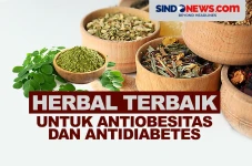 Herbal Terbaik untuk...