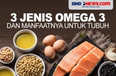 Mengenal 3 Jenis Omega...