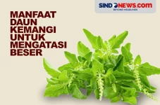 Jarang Diketahui, Manfaat...