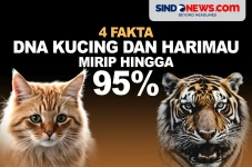 4 Fakta Kemiripan DNA...