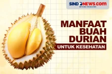 5 Manfaat Buah Durian,...