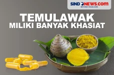 Temulawak Miliki Banyak...