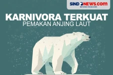 5 Fakta Beruang Kutub,...
