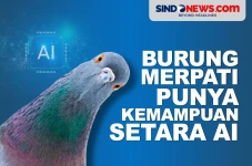 Dari Lahir, Burung Merpati...