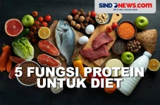 5 Fungsi Protein untuk...