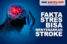 Fakta Stres Bisa Menyebabkan...