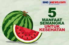 5 Manfaat Semangka,...