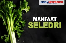 Manfaat Seledri yang...