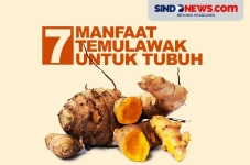 7 Manfaat Temulawak,...
