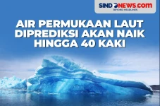Air Permukaan Laut Diprediksi...